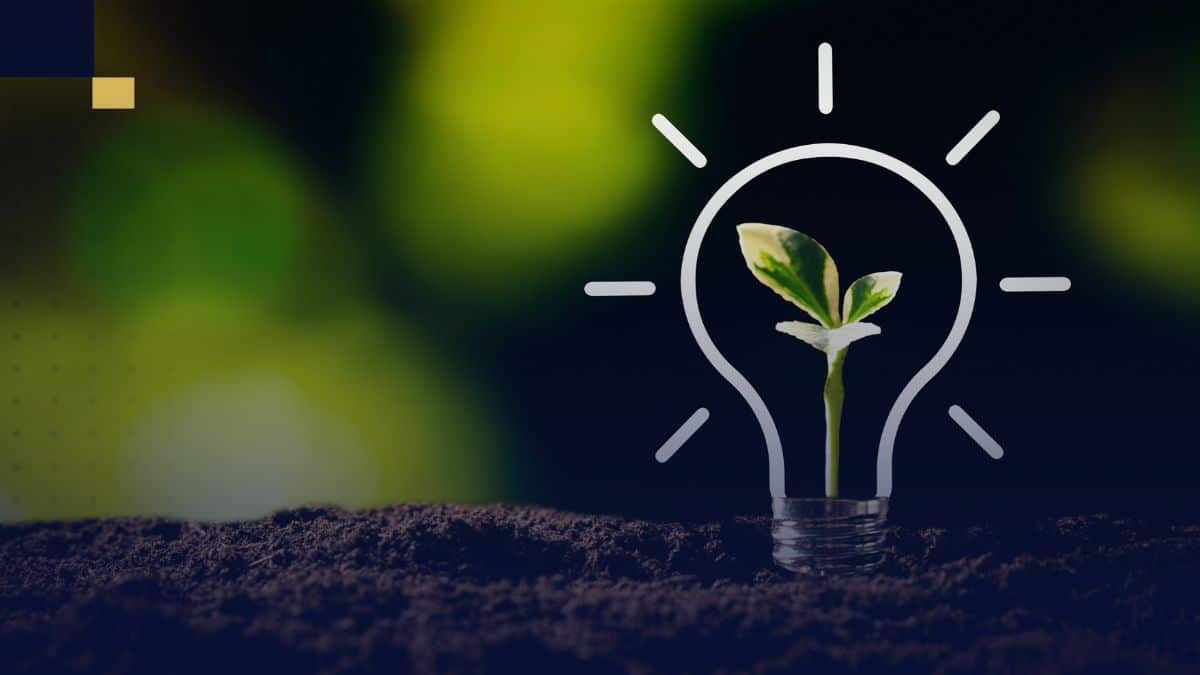 tesis sobre medio ambiente