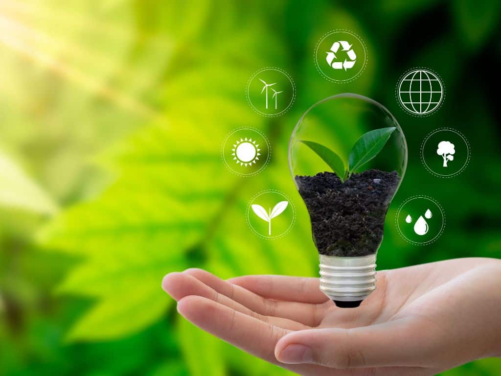 tesis sobre medio ambiente