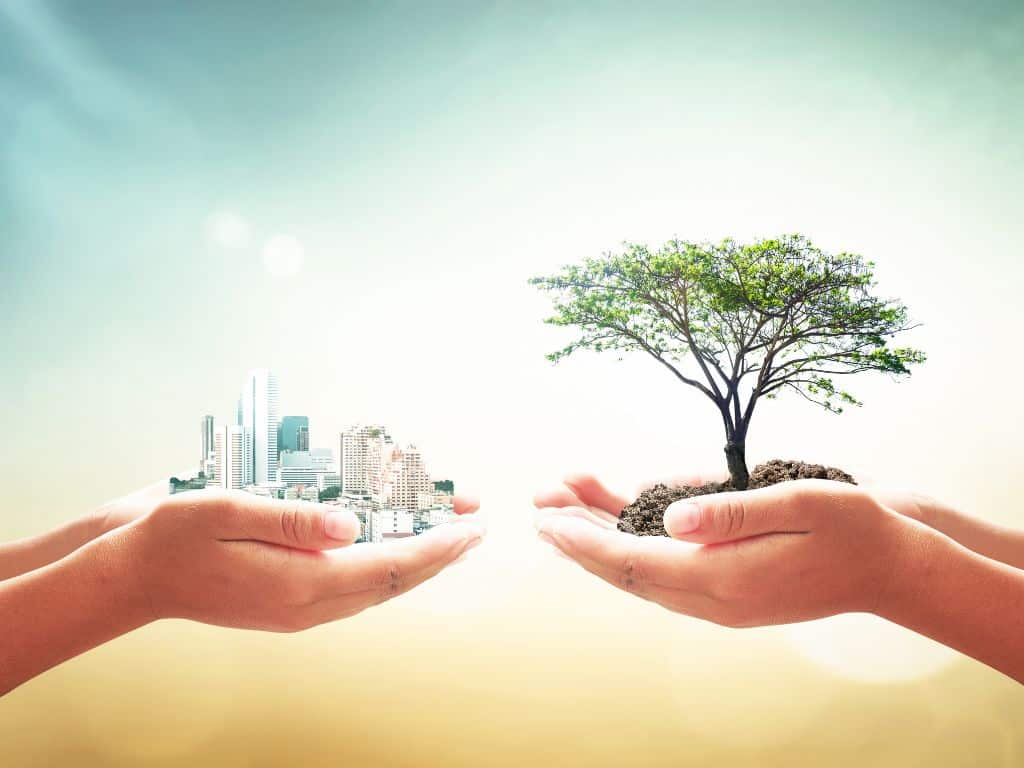 tesis sobre medio ambiente